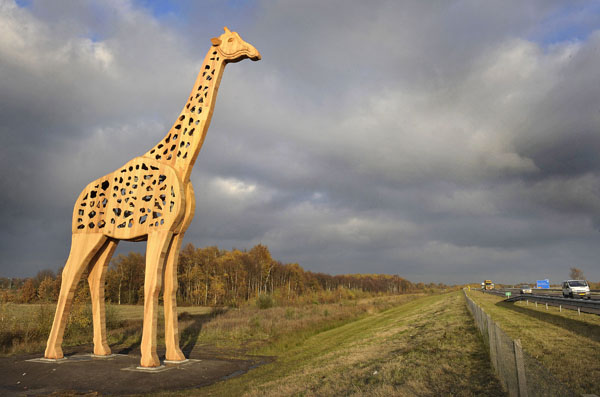 Giraffe