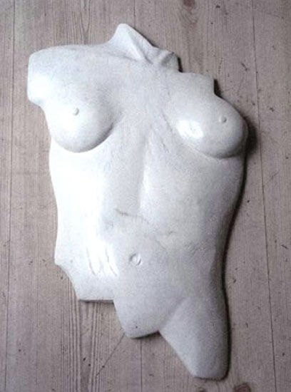 torso_wit